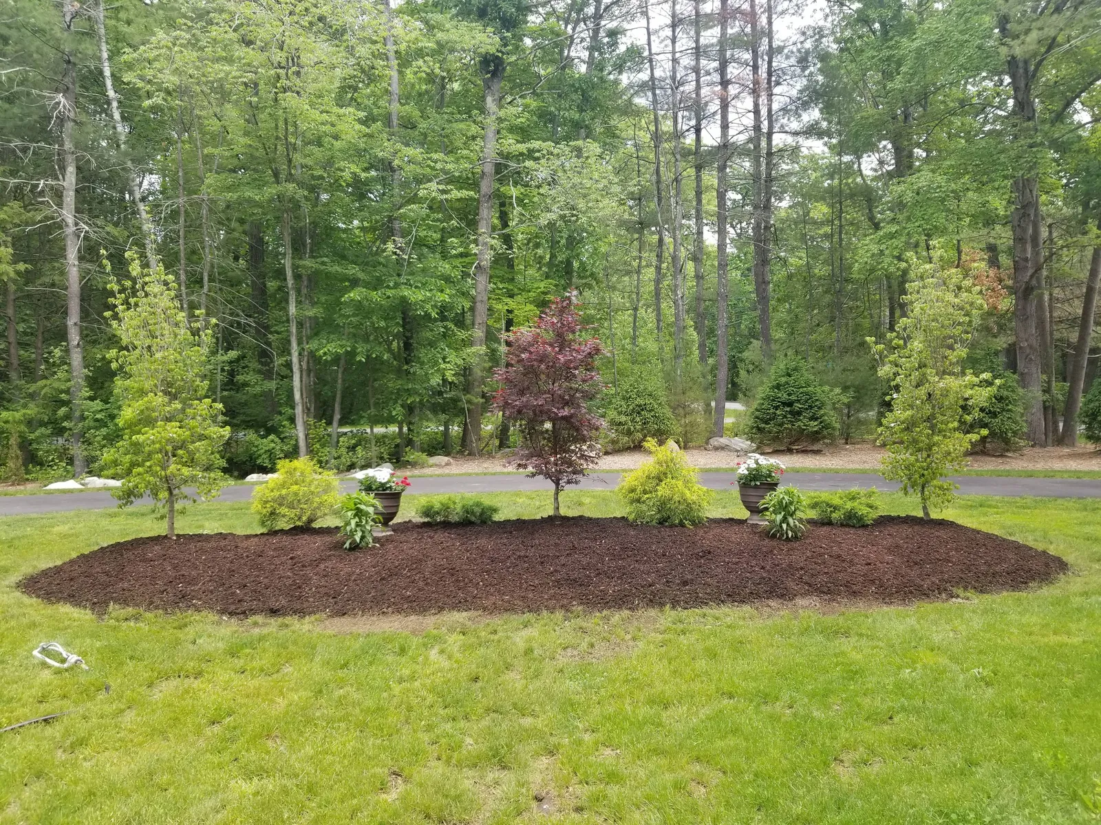 Tom's Yard Care researched project photo