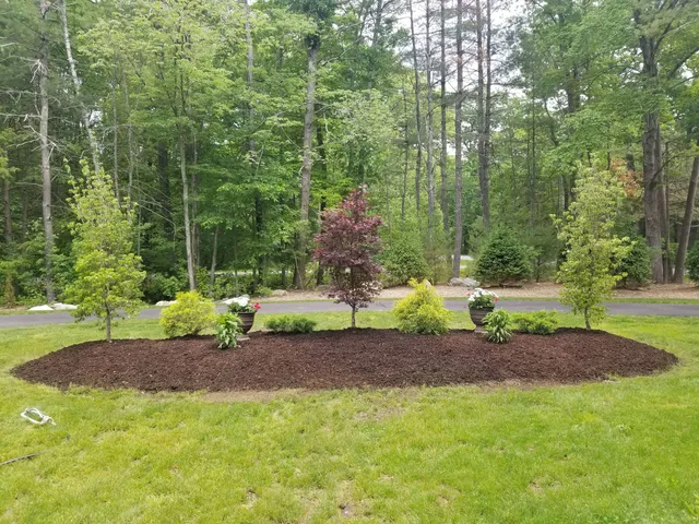 Tom's Yard Care researched project photo
