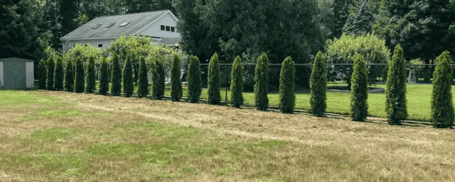 work photo from buddybrownexcavationllc.com