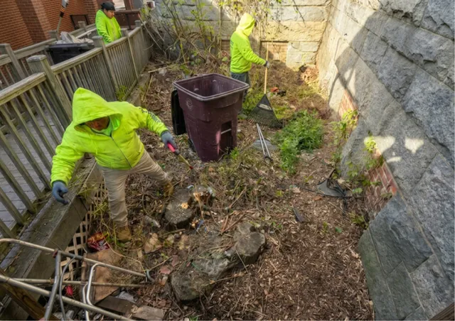 Skid steer land clearing — Tree Wise Guys CT