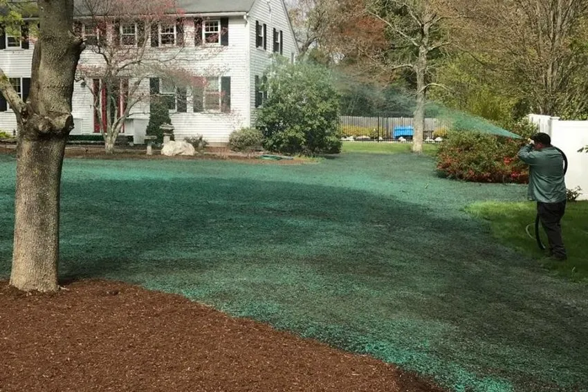 Hydroseeding