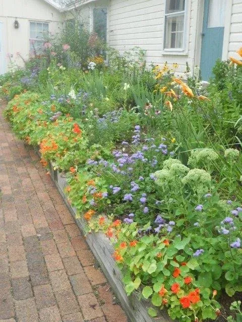 Mixed perennial and annual border, timber wall and brick path