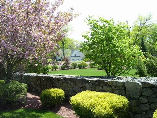 work photo from swiftscreativelandscape.com