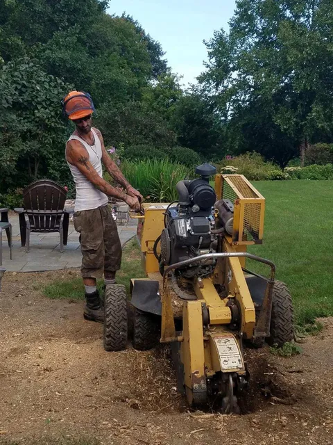 BELLO TREE CARE work photo