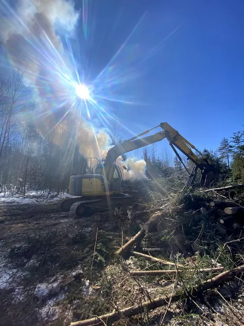 Dangerous Tree Removal