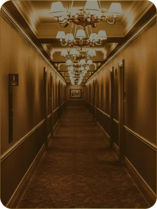 image of cleaner