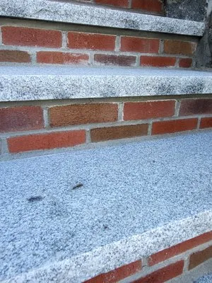 Munster Masonry researched project photo