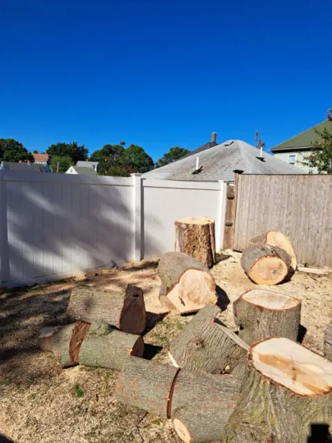 Tree Removal