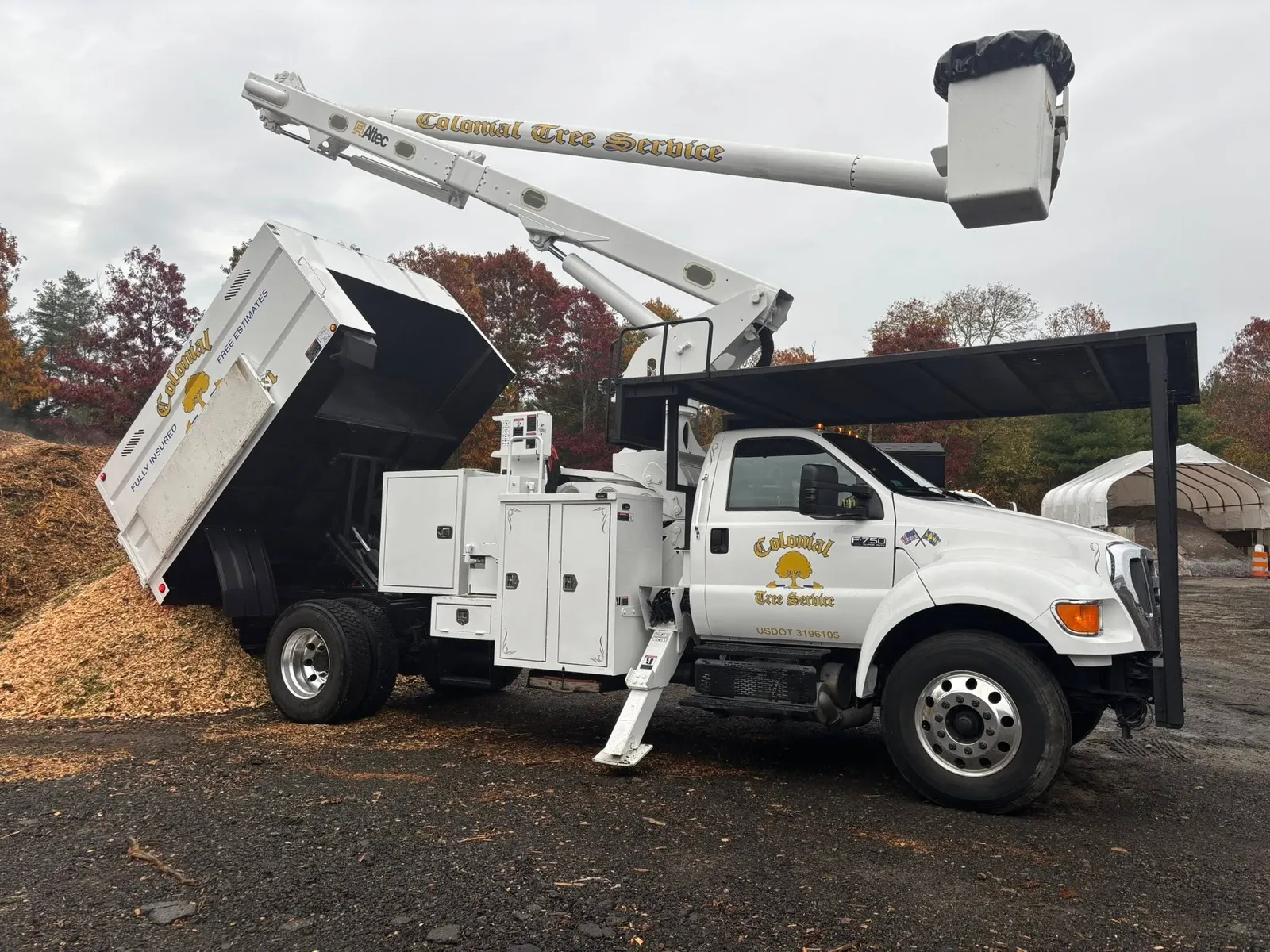 work photo from treeservicekingston.net