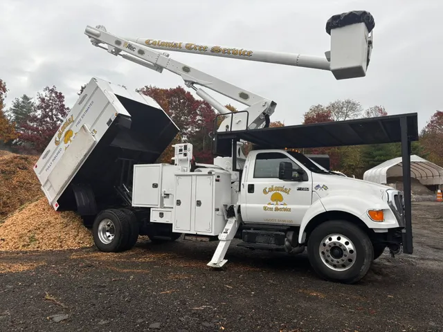 work photo from treeservicekingston.net