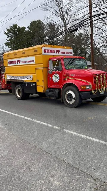 Send It Tree Service LLC work photo