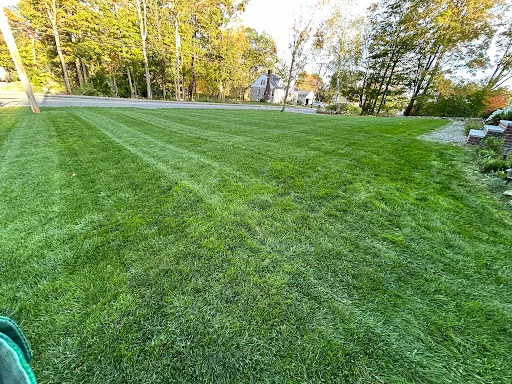 Ground Care Landscaping work photo