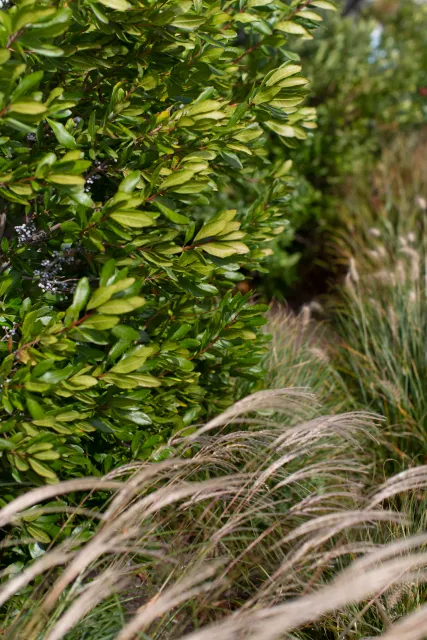 Emma Kelly Landscape researched project photo