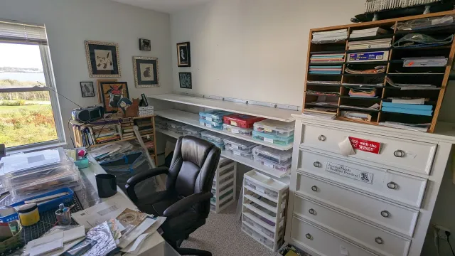 A room with a desk , chair , dressers , shelves and a window.