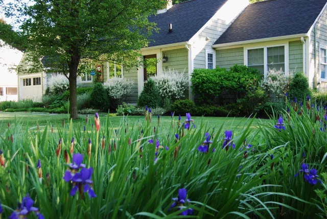 A cape-style home is completely transformed into the gem of the neighborhood with its extensive cottage gardens. Landscape design offering curb appeal and four season interest at this Andover garden design.