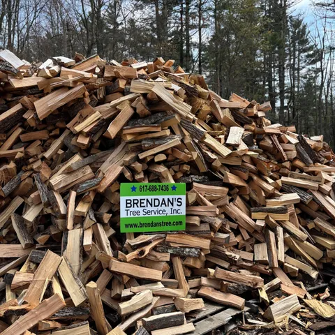 work photo from brendanslandscape.com