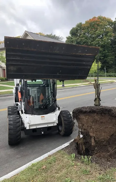 work photo from arezlandscapingllc.com