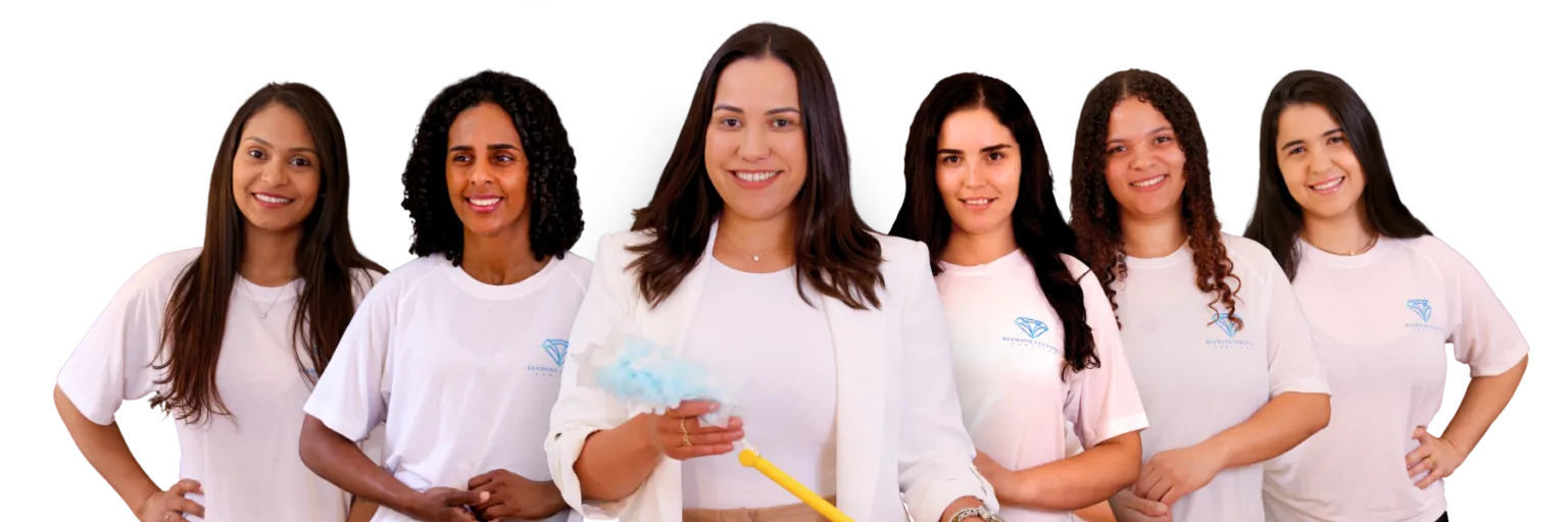 Professional House Cleaners