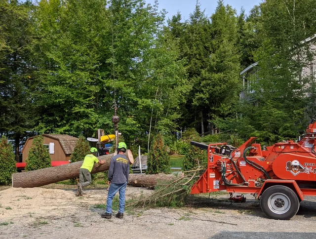 McClure's Tree Service work photo