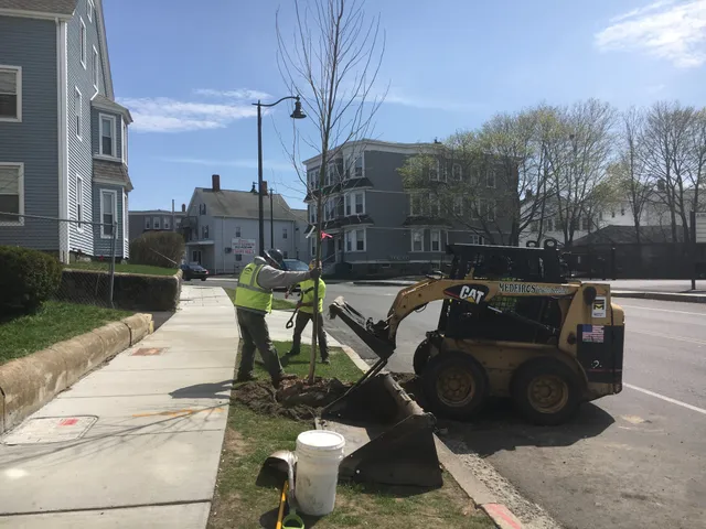 Medeiros Hydroseeding & Landscape Construction, Inc. work photo