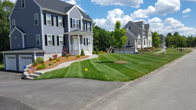 Hall's Landscaping researched project photo