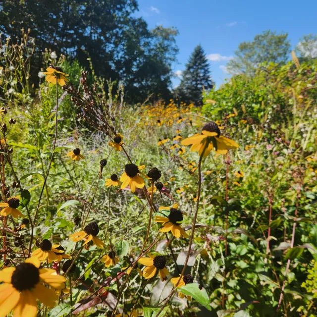Sustainable landscapers in Easthampton, Massachusetts