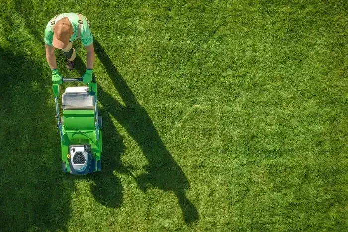 Reliable Lawn Service