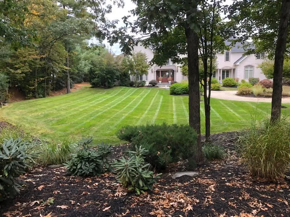Sustainable Lawn Care researched project photo