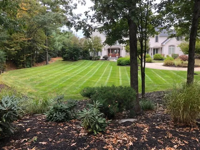 Sustainable Lawn Care researched project photo
