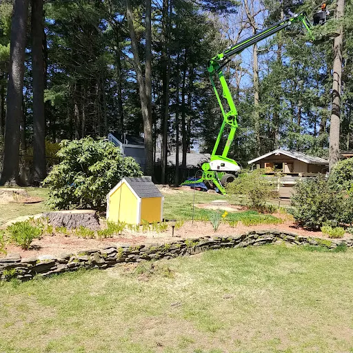 Gate City Tree Service, LLC work photo