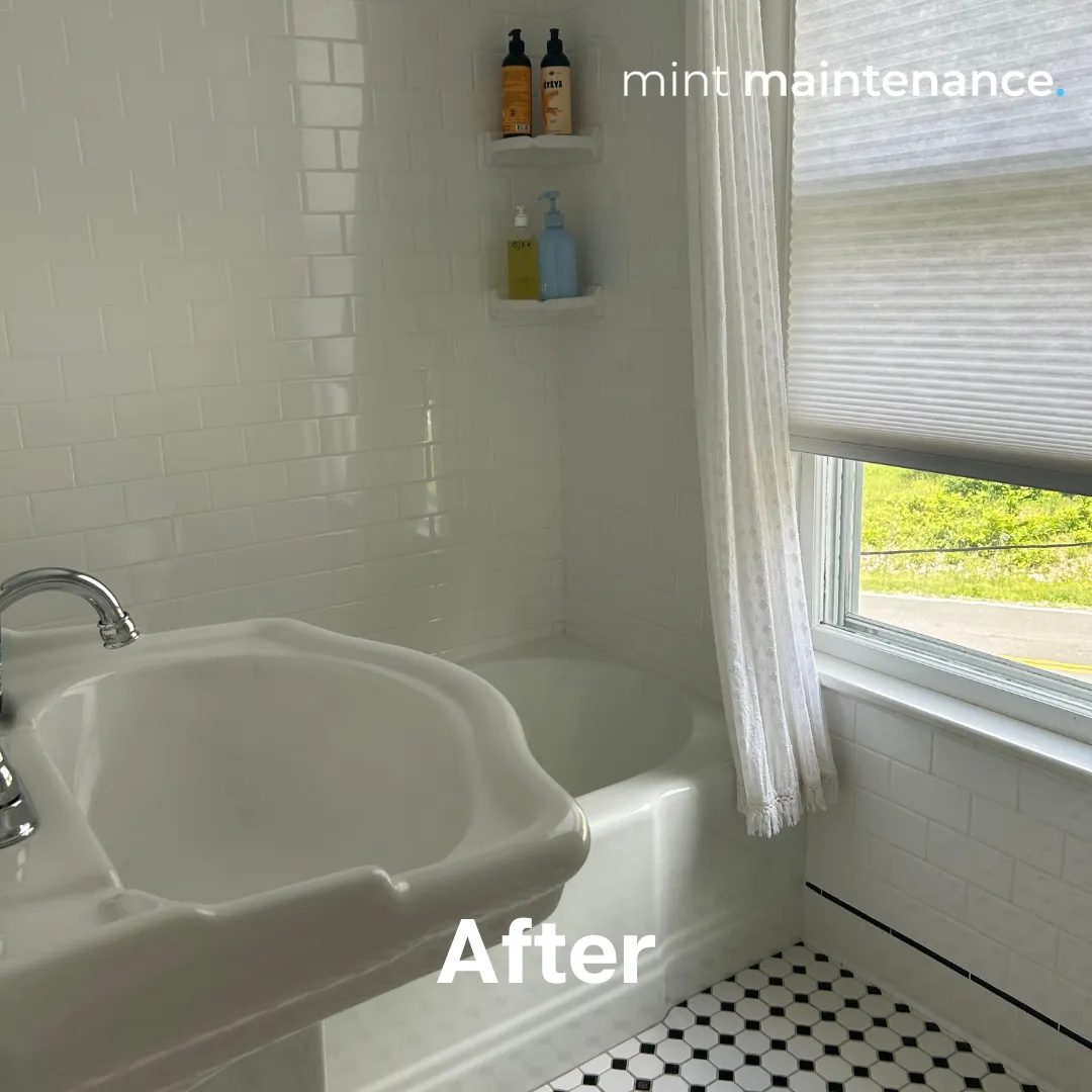 Mint Maintenance