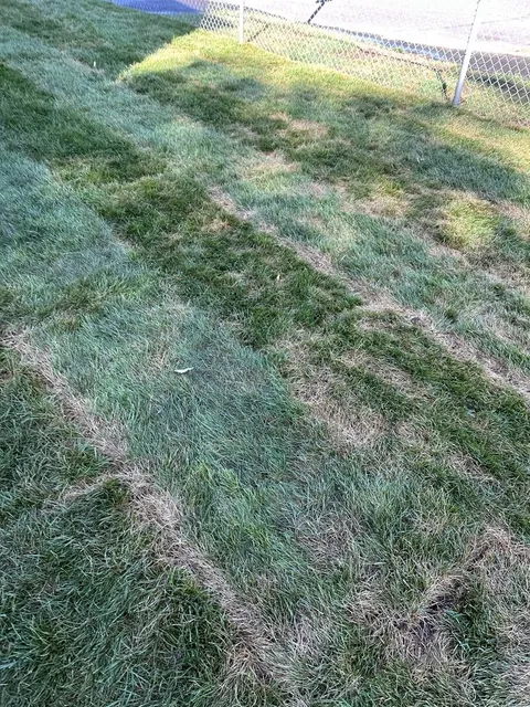 Roberto's Affordable Landscaping researched project photo