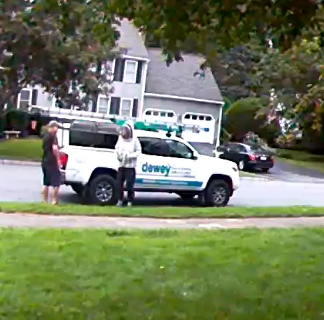 Dewey Pest & Wildlife work photo