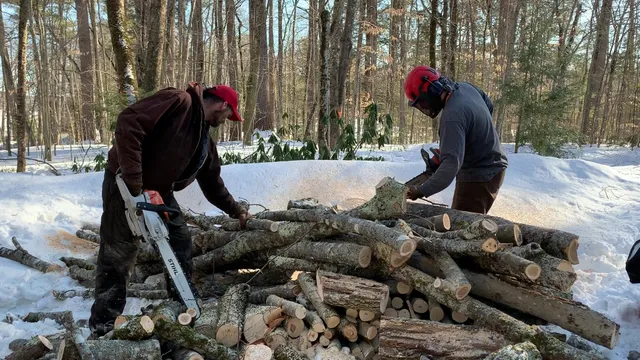TLC Tree LLC work photo