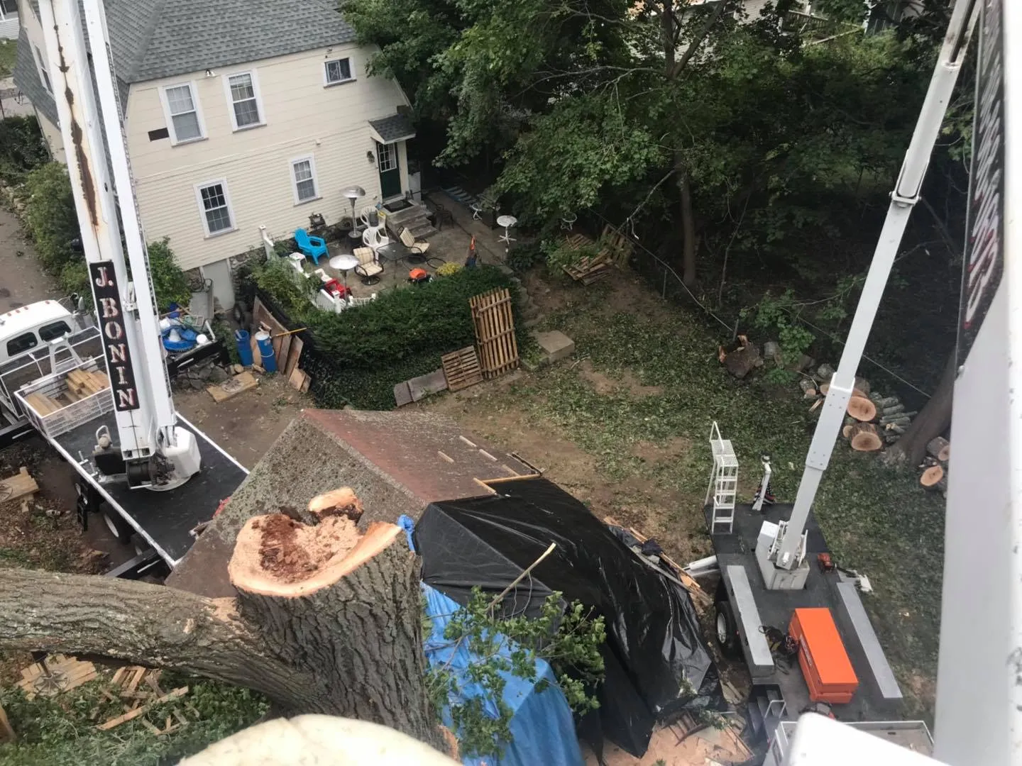 J. Bonin Tree Services, LLC verified work photo