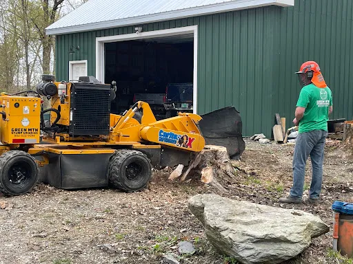 Green Mtn Stump Grinding work photo