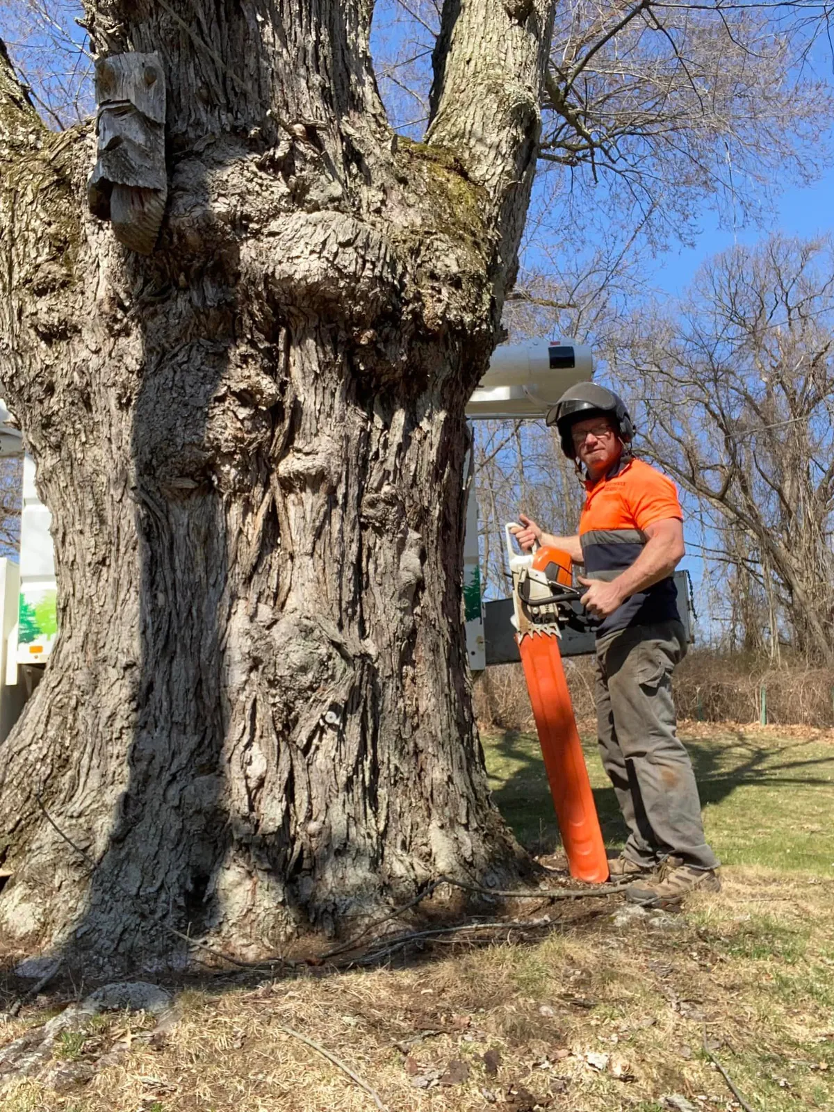 work photo from Google listing