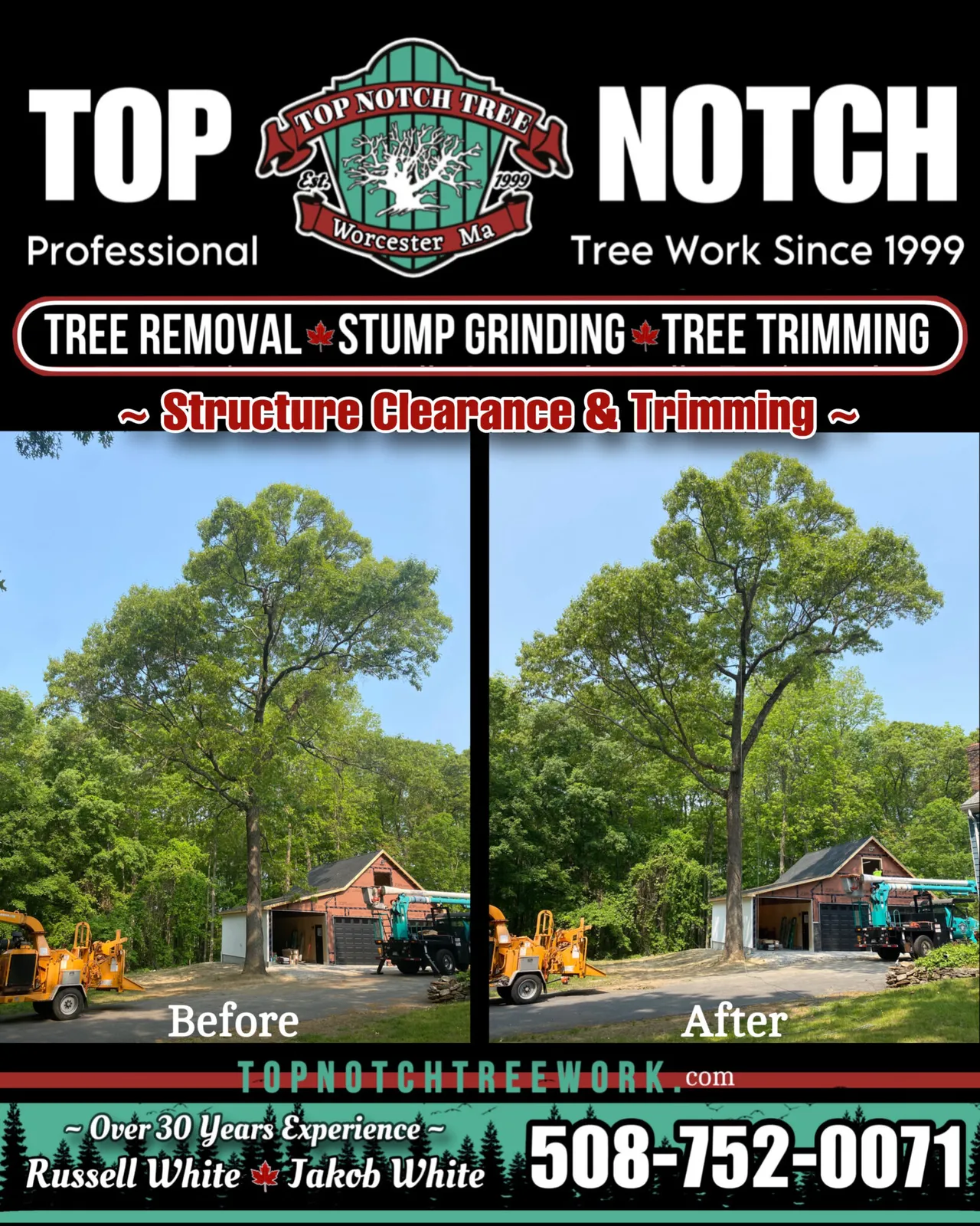 A picture of the top notch tree service brochure.