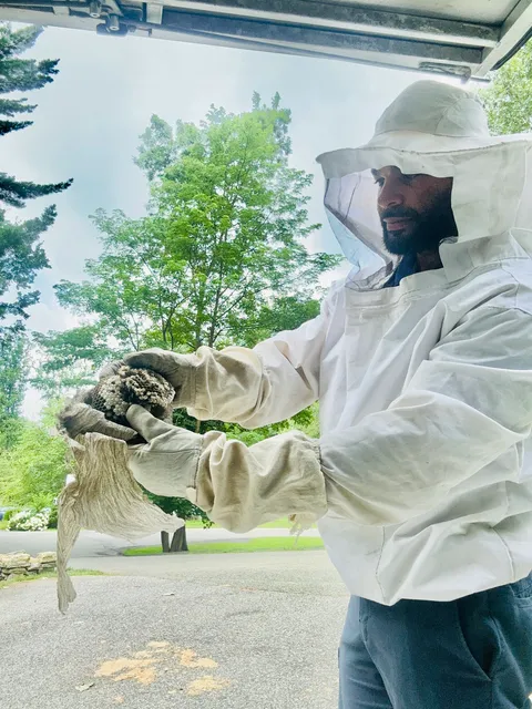 Captain Pest Control work photo