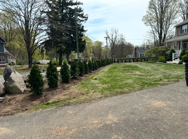 All In One Landscape and Excavation LLC work photo