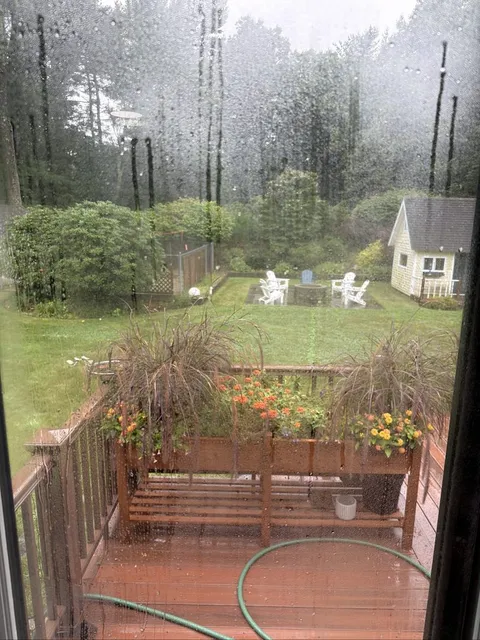 Before: Window before and after washing