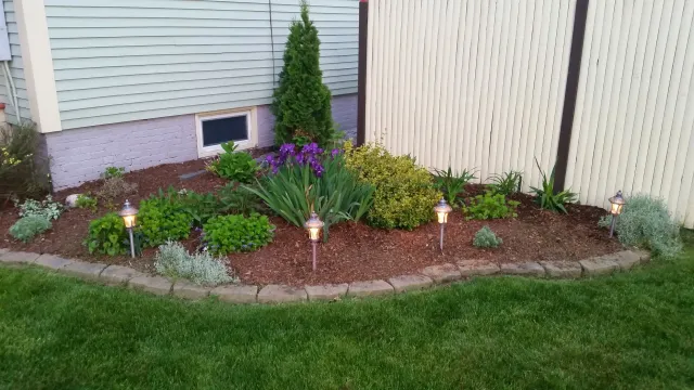Garden bed with purple flowers and small shrubs, surrounded by brick edging and illuminated by pathway lights.
