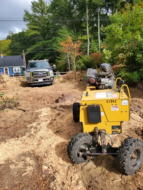 Kind Tree Service work photo