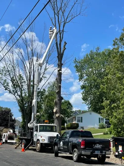 work photo from 12treecompany.com