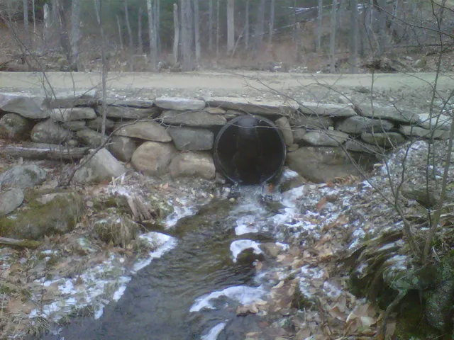 work photo from gallaghertreeandlandscape.com