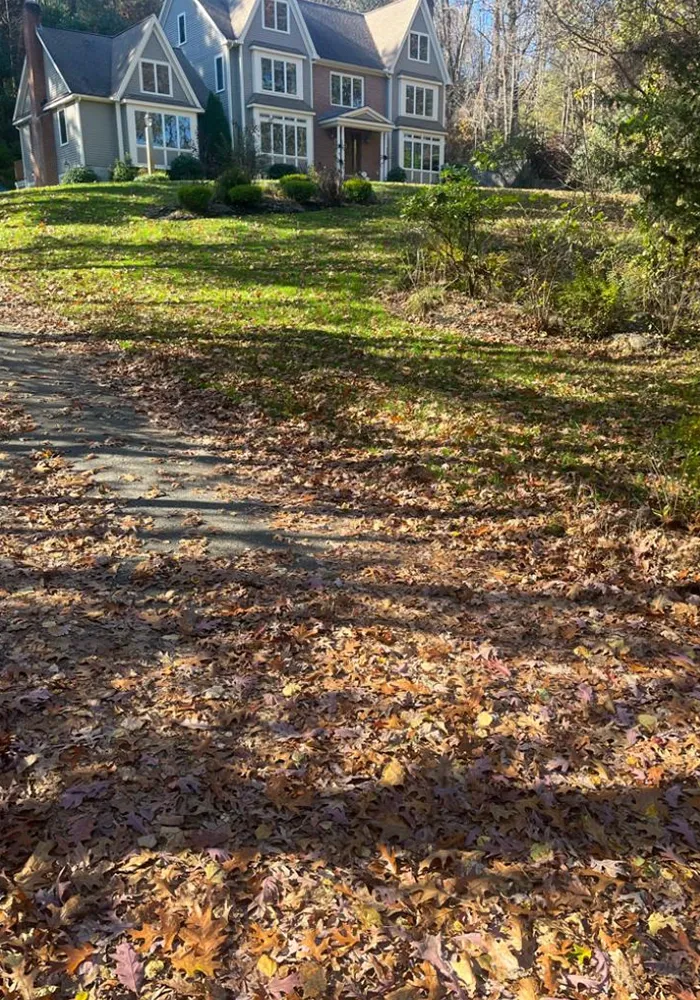 Spring & Fall Cleanups