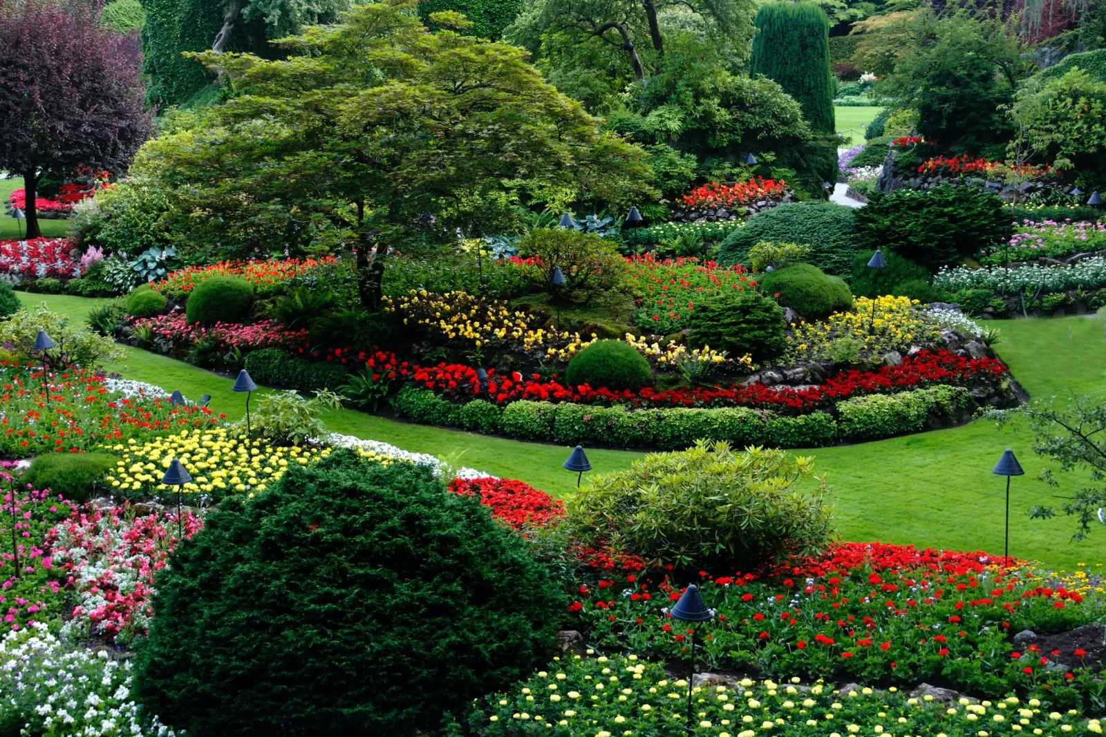SEASONAL COLORSCAPES  Flower programs to enhance the appearance of your property