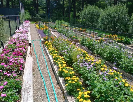 work photo from maplewoodlandscapingllc.com