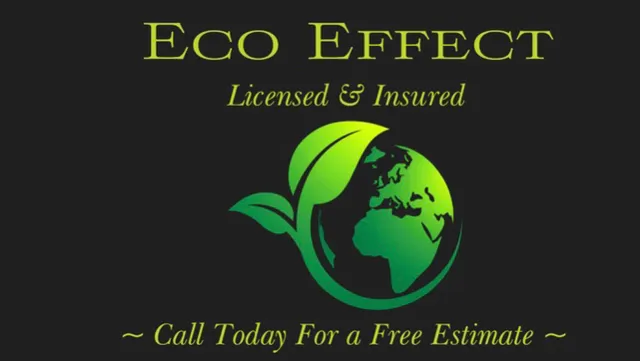 Eco Effect logo
