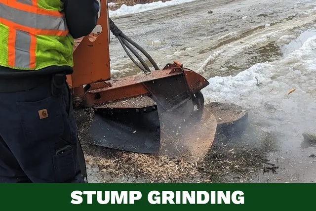 Expert Stump Grinding